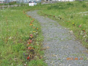 DSCN0538